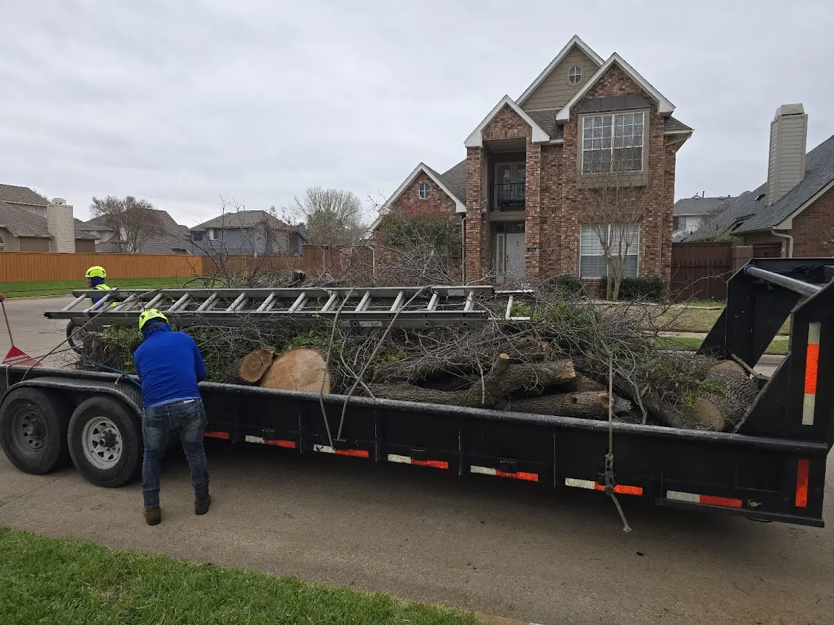 Expert Tree Fertilization with proper safety equipment in Ewing